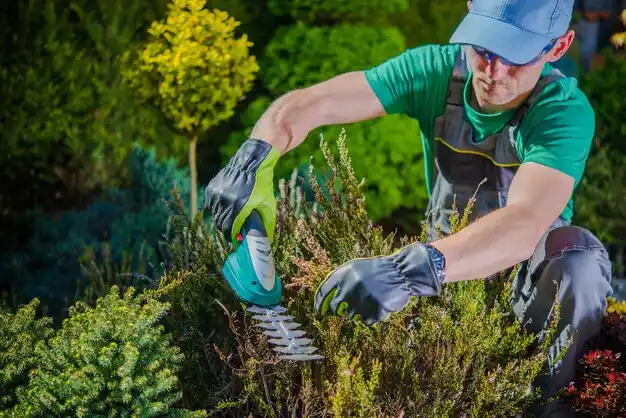 landscaping services Pine Knot